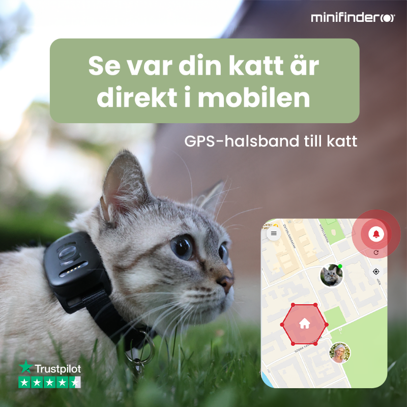 minifinder's tweet photo. 🐶 Vet du var ditt husdjur är?

Med Atto Pro ser du djurets position i realtid – var du än är.

Trygghet i varje steg!