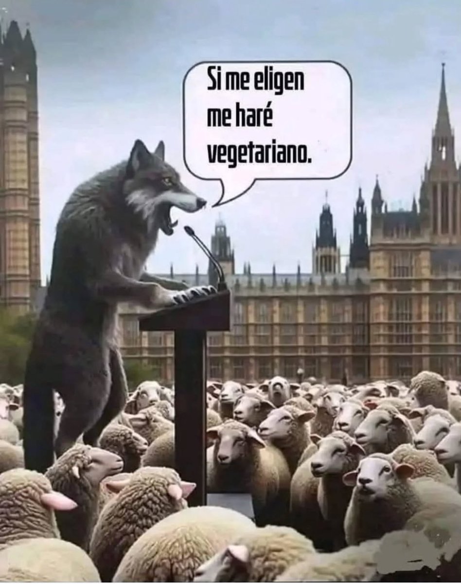 Javier Maza tweet media