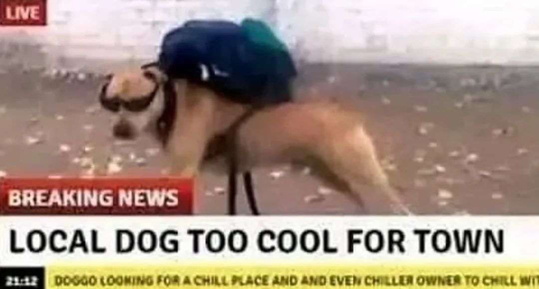 hourly_shitpost's tweet photo. https://t.co/EGH8JTwvr3