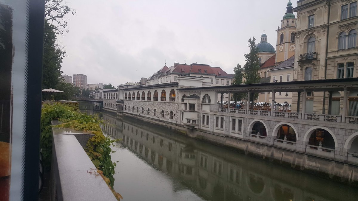 Miodrag Milovanović tweet media