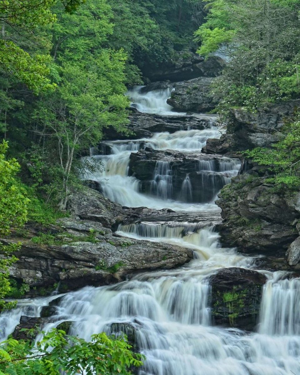 pennyamileorg's tweet image. In Nantahala National Forest, the word “Nantahala” means “Land of the Noonday Sun,” used by the Cherokee for its deep gorges. Hiking here connects you to that ancient heritage.

#NatureLovers #TrailLife #PennyAMile @kp4nc

pennyamile.org

Photo: VisitNC.com
