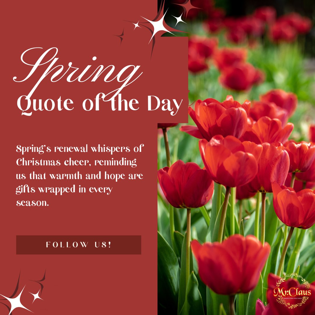 RealMrClausFL's tweet image. 🌸🎄✨ Warmth and hope are gifts in every season! Embrace the Christmas cheer with Mr. Claus in Naples. Book your holiday photos, Santa services, and Santa visits at mrclaus.net 🎅📸 #ChristmasCheer #HolidayMagic #MrClausNaples