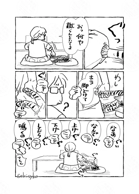 雑日記
人間も猫もただなんとなく相手にかまってもらいたかっただけでした。へいわ 