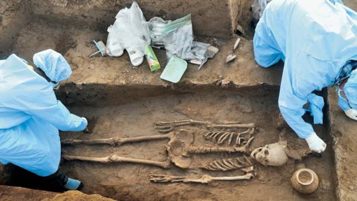 gargiuvacha's tweet photo. But here's the tragedy:
India has just one ancient DNA sample.
Because sequencing costs very high.
Govt should step in?
We must fund our history. https://t.co/qhOJqbbMVT