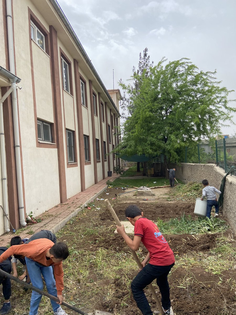 nisibiiss's tweet photo. İlkokulda imece usulü. Merhaba ilkbahar merhaba çilek hobi bahçemiz 🍓 https://t.co/b1DzM590rO