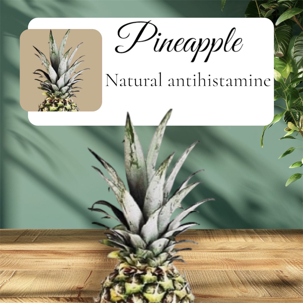 PatrioticKC's tweet image. Good Morning, Patriots🫡🇺🇸 pro tip for #allergies 🤧 #pinapple is a natural #antihistamine #MAHA #MAHAPROTIP #MAGA
