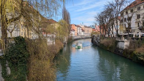 Miodrag Milovanović tweet media