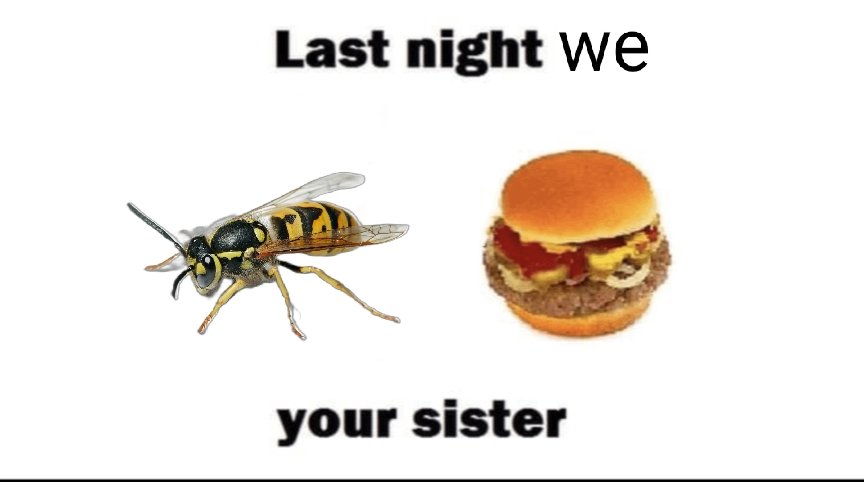 320,000,000 Yellow Jacket Wasps tweet media