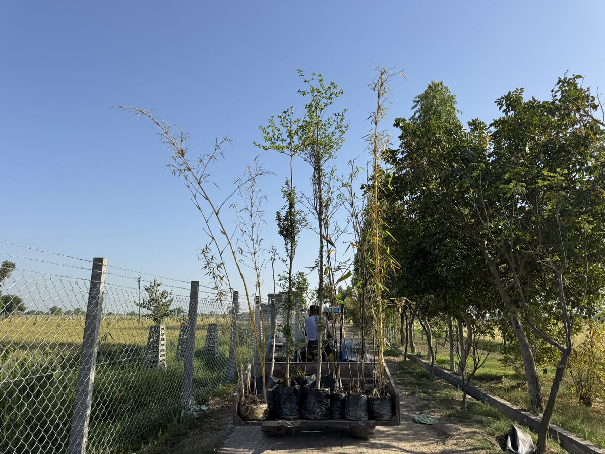 Bamboo Botanical and Farm stay tweet media
