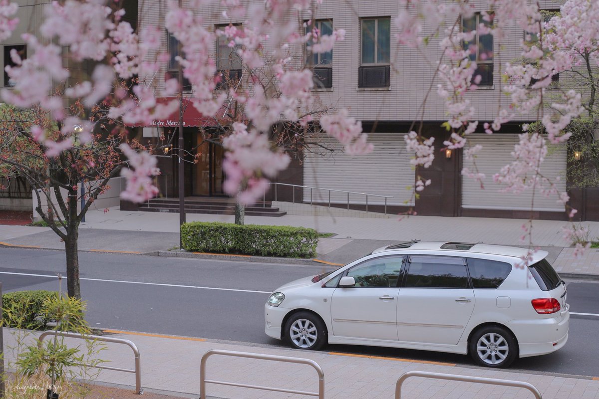 ipsa2000's tweet photo. #桜と車の写真見せて #桜と愛車 #桜 #5Dmk3
見頃は一瞬となる桜の��節🌸
今年は比較的沢山撮れてよかった📸 https://t.co/hlB6bCXFiL