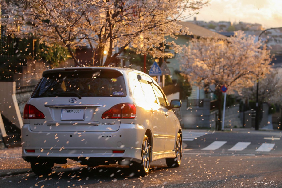 ipsa2000's tweet photo. #桜と車の写真見せて #桜と愛車 #桜 #5Dmk3
見頃は一瞬となる桜の��節🌸
今年は比較的沢山撮れてよかった📸 https://t.co/hlB6bCXFiL