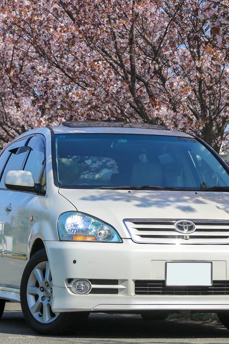 ipsa2000's tweet photo. #桜と車の写真見せて #桜と愛車 #桜 #5Dmk3
見頃は一瞬となる桜の��節🌸
今年は比較的沢山撮れてよかった📸 https://t.co/hlB6bCXFiL