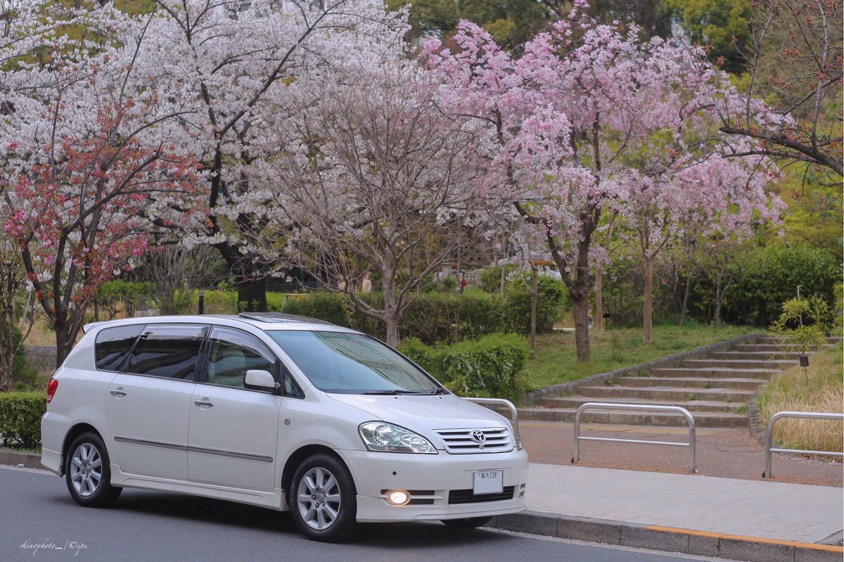 ipsa2000's tweet photo. #桜と車の写真見せて #桜と愛車 #桜 #5Dmk3
見頃は一瞬となる桜の��節🌸
今年は比較的沢山撮れてよかった📸 https://t.co/hlB6bCXFiL