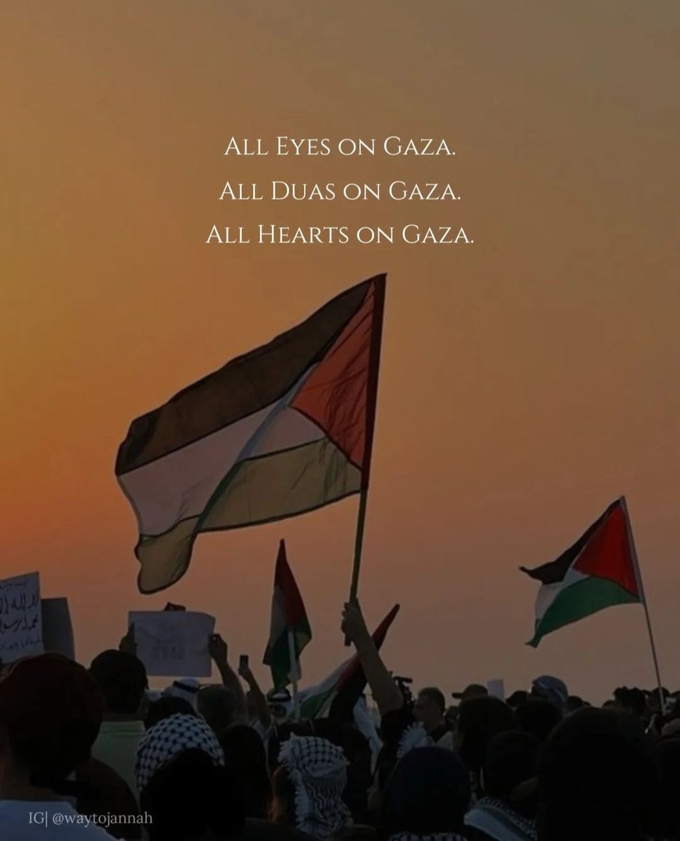 AlimahsBlog's tweet photo. #FreePalestine 🇵🇸 https://t.co/23CpYplzgS