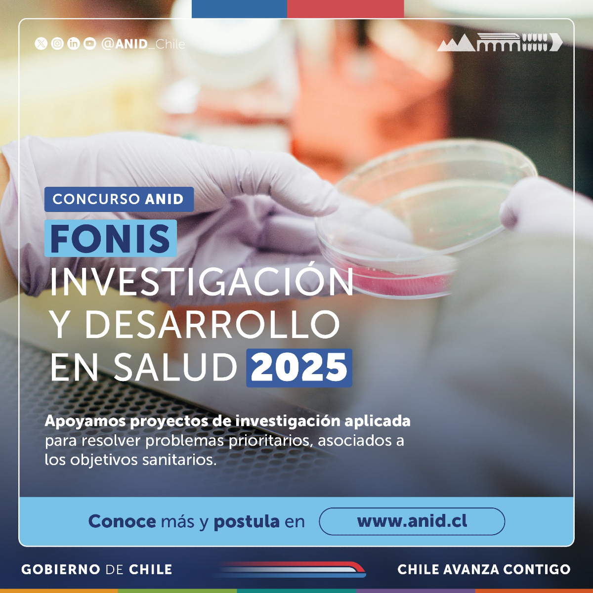 postgradoUTalca's tweet photo. Abordar y resolver los problemas sanitarios prioritarios del país requieren de la investigación científica y tecnológica aplicada.
📅Presenta tu proyecto #FONIS hasta el 24 de abril.
Más detalles aquí⤵️
https://t.co/atgBJUsqtw https://t.co/YBlaBRd7sJ
