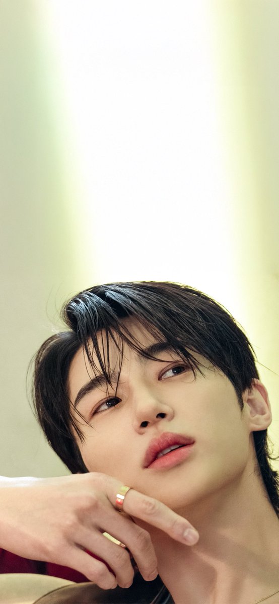 벨라🦋 tweet media