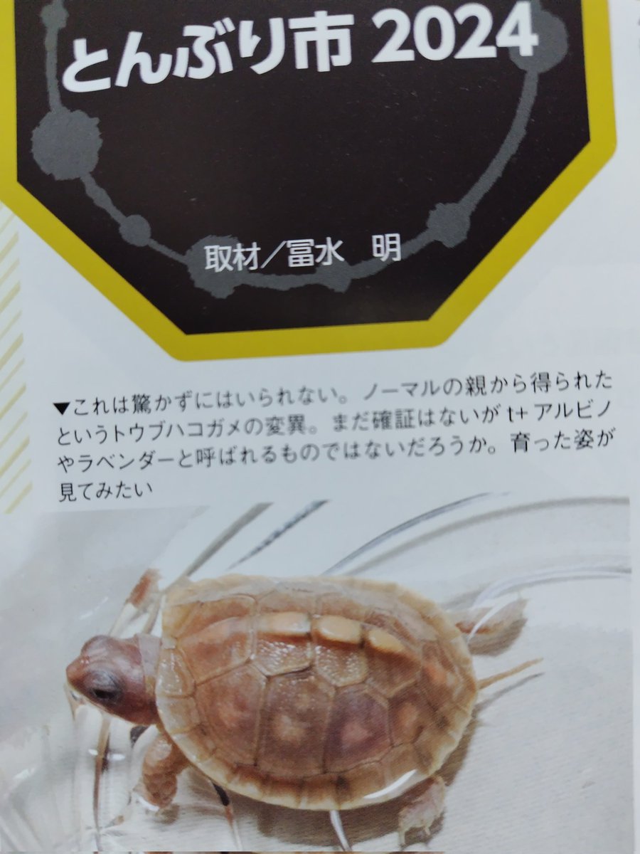 tito (@34_wgnc) / Posts / X