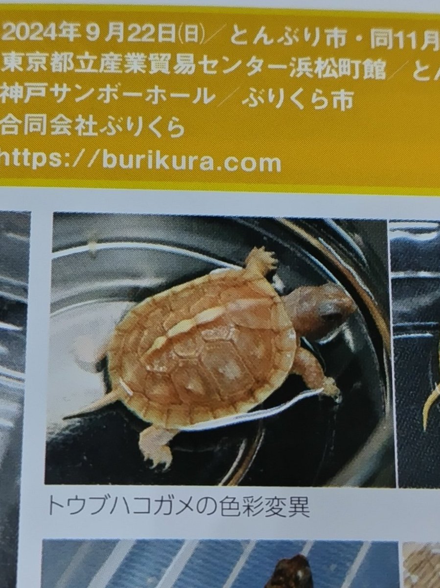 tito (@34_wgnc) / Posts / X