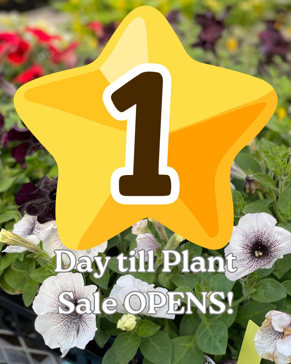 Apex FFA tweet media