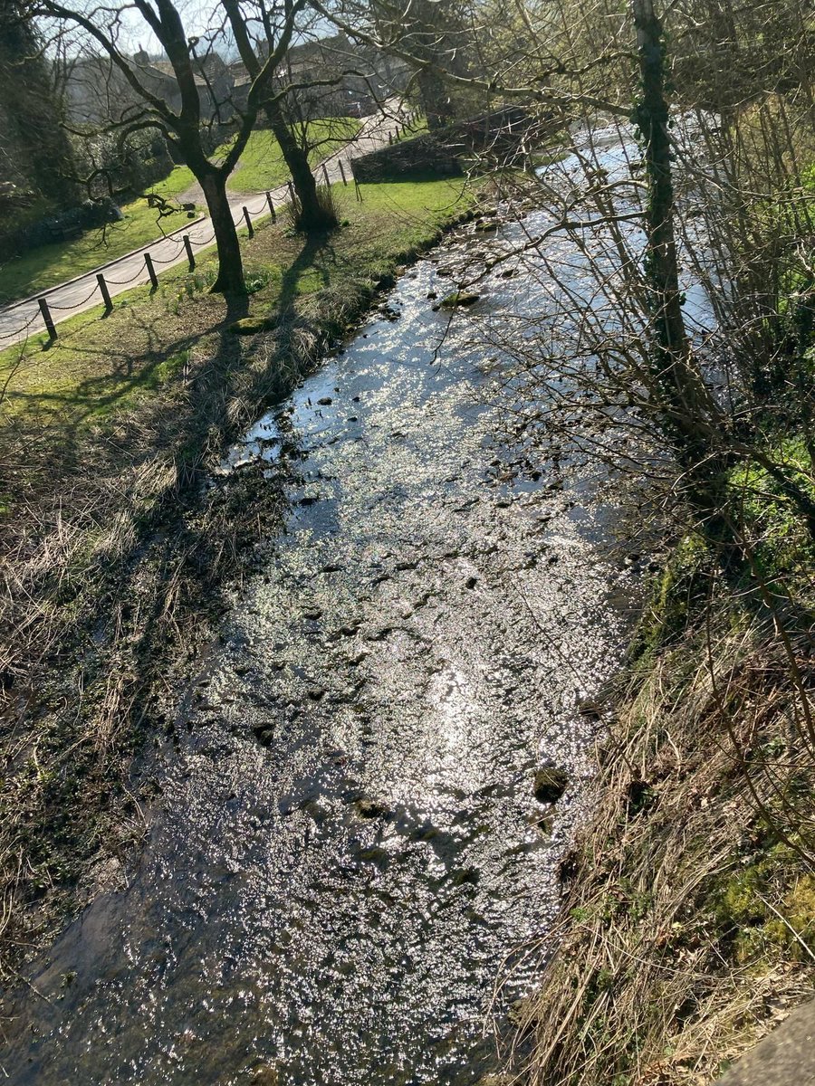 RRR_LUF's tweet photo. Earby Community Drop-In βοΈπ‘
What a sunny day to connect and catch up! Thanks to everyone who popped by, great chats, warm smiles, and a lovely community vibe. See you next time!
#EarbyCommunity #DropInAndConnect #FiveWaysToWellbeing https://t.co/oePIFxD1gr