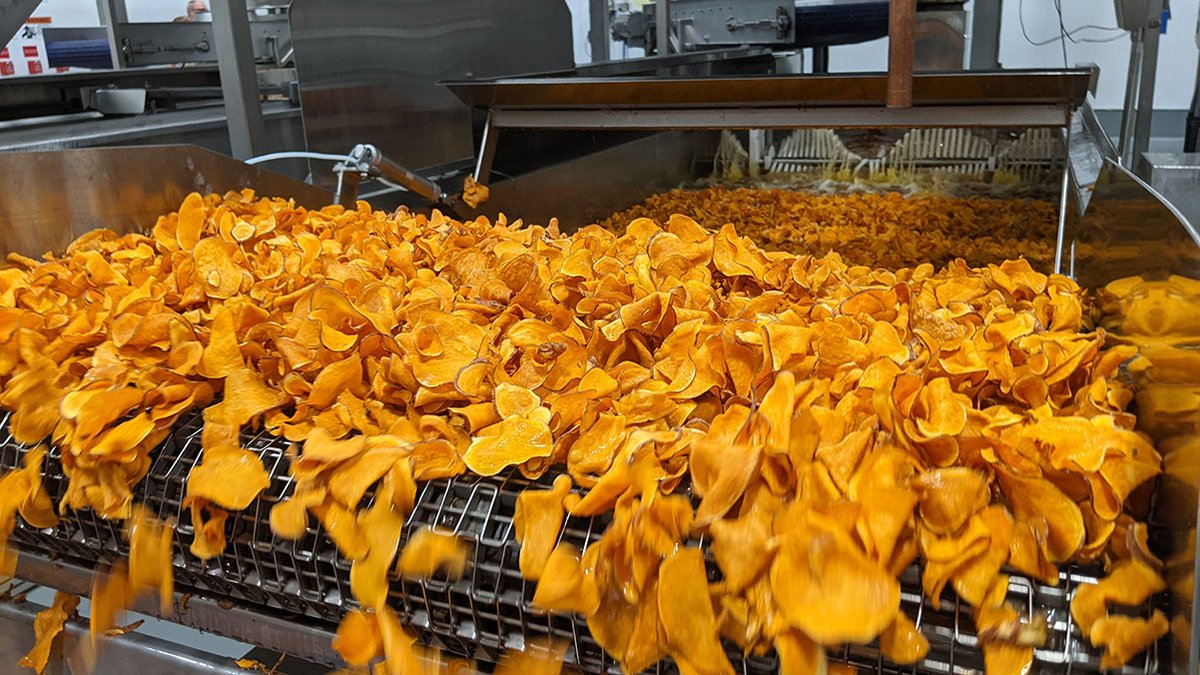 BisonAMETEK's tweet photo. Learn how Bison partnered with JD Manufacturing to customize and seamlessly integrate a blower into their automatic batch fryer to increase production 20%. https://t.co/oSz6TnizV4 #FoodandBeverageEquipment #ProductDesign #MoveAir #TransferPower https://t.co/TWjyYEGk2Z