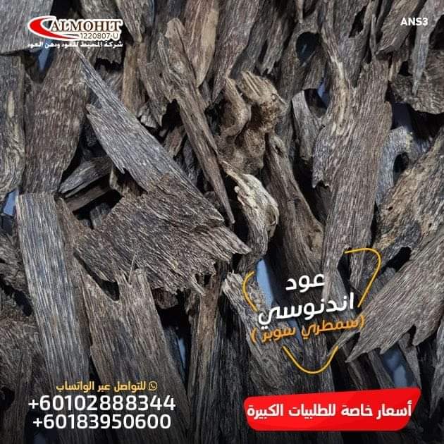 العود الكمبودي
العود الجاوي
العود الفيتنامي
العود البروناي
دهن عود كلاكاسي كمبودي
#الاتحاد_العروبه