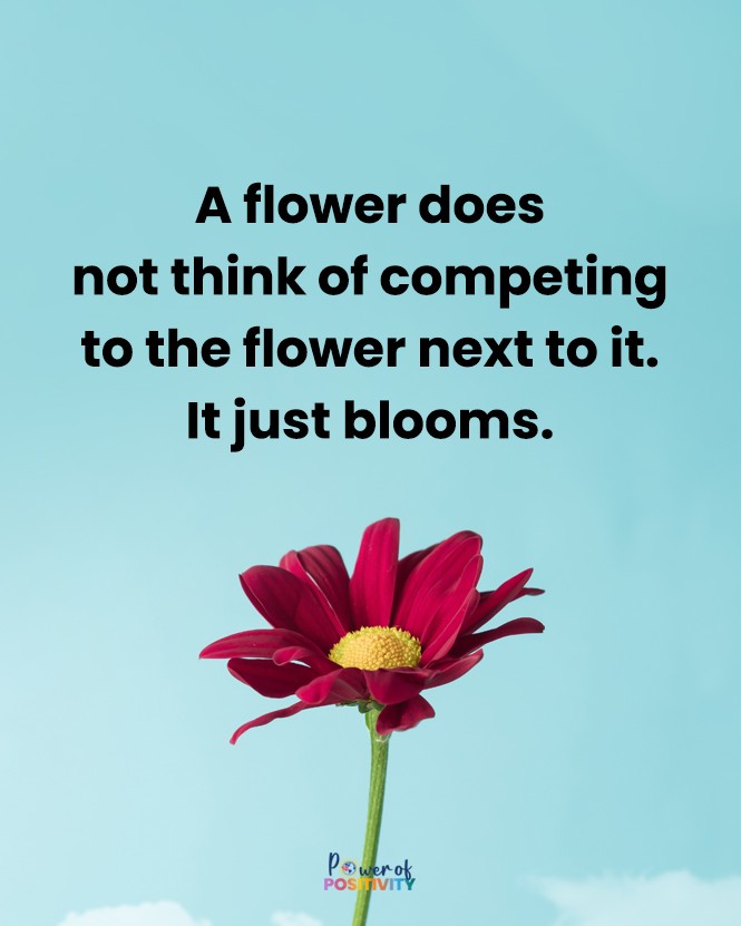 A flower does not think of competing with the flower next to it. It just blooms. 🌸💖