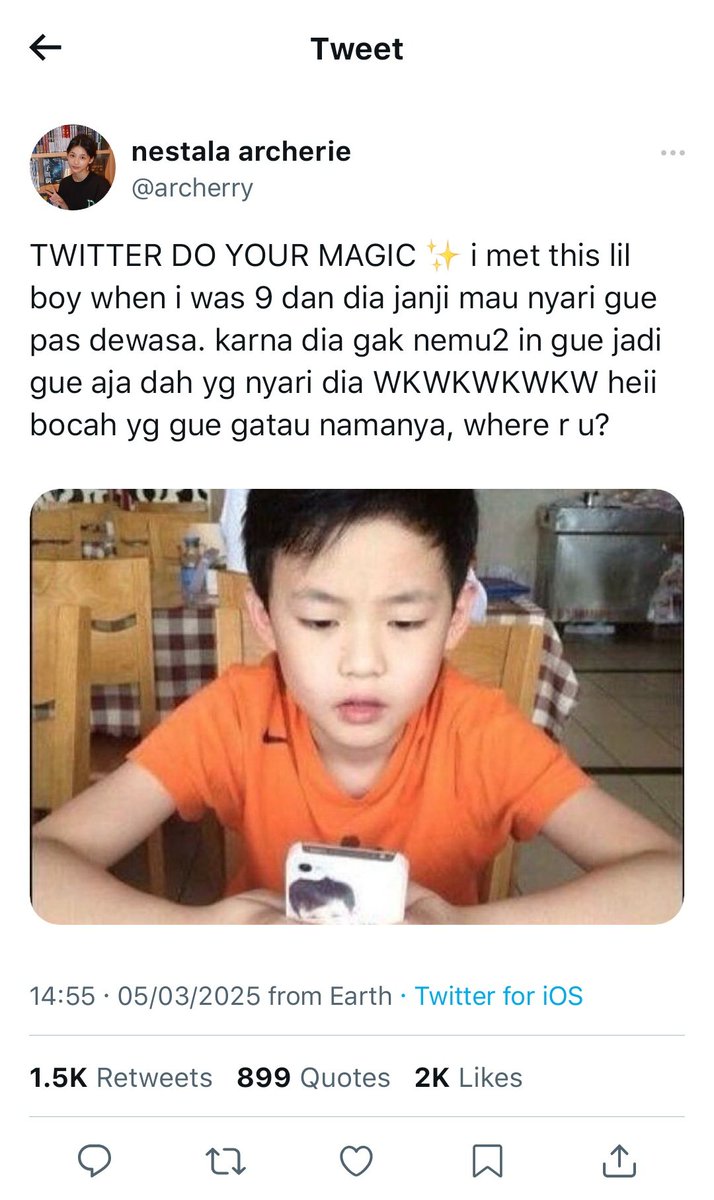 🐾 tweet media