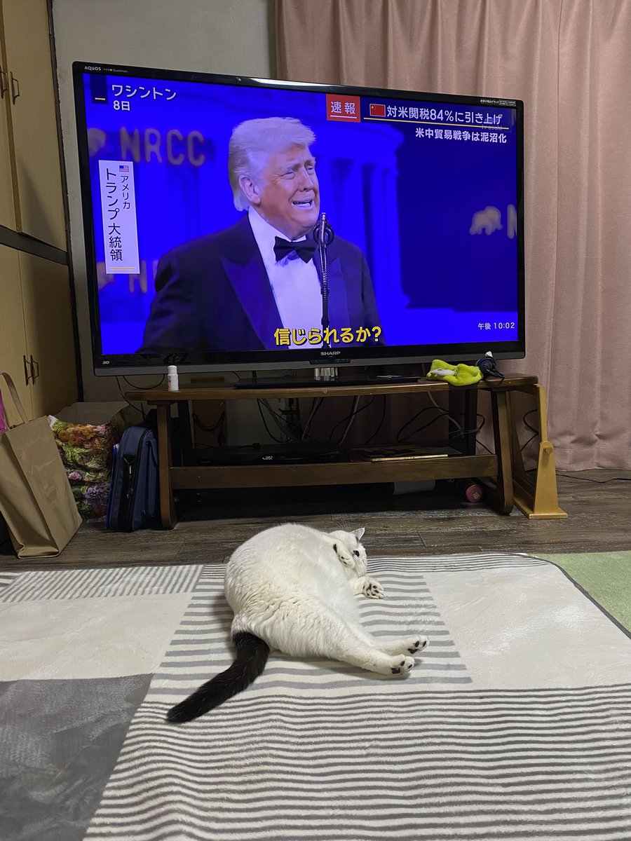 tsurukameryu's tweet photo. https://t.co/7lfZjftm32