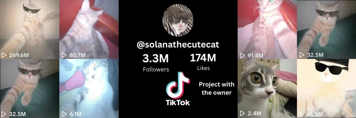 Shit_Stick4000's tweet photo. $SOLANA - #Solana 

Solana The Cat

Tiktok famous cat , with good team , that is in contact with owner, and ca posted directly on there tiktok with 3.3 million followers

CA
3LfPWqTK3QGGKJ5jXrHKXhb3shEKVhXSVabDypvGpump https://t.co/IsJ4RzzPIo