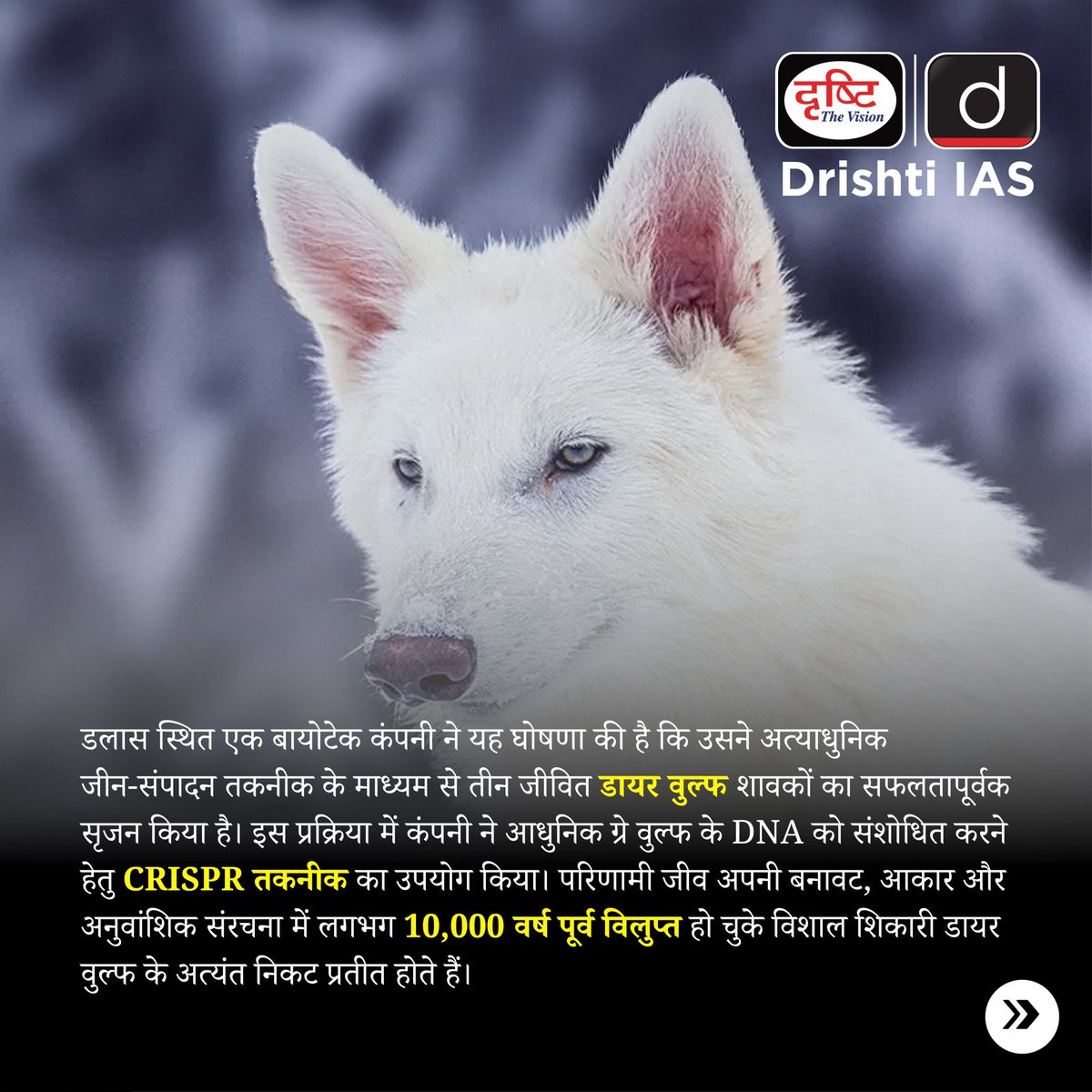 karamyd_7's tweet image. कोलोसल बायोसाइंसेज ने CRISPR तकनीक से 10,000 साल पहले विलुप्त हो चुके डायर वुल्फ की वापसी कर दी है।
.
#CRISPRTechnology #ColossalBiosciences #GeneticRevival #DeExtinction #DyerWolfReturns #ScienceAndWildlife #CurrentNews