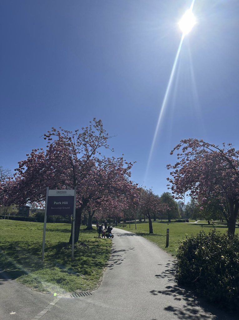 MrZak_09's tweet photo. Good afternoon from London where even the afternoon feels like nature dropped a vibe bomb 😅
Grateful to live in a place that randomly flexes like this😍
#ChillScenes #LondonMood #NatureGotGame
☀️🌿✨📍 https://t.co/9j6GFTJZGk