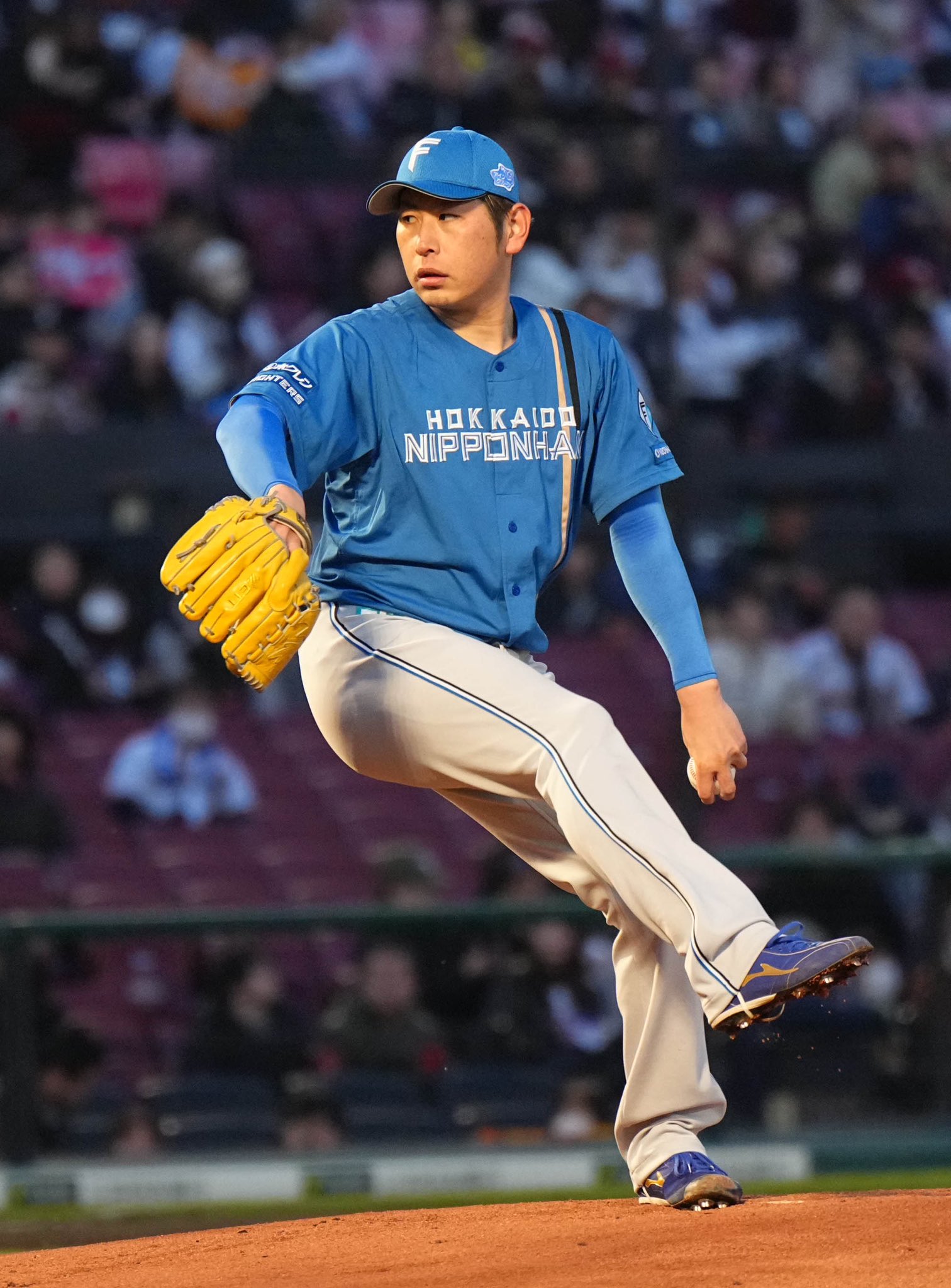日本ハム加藤貴之プレイヤーズチャレンジドリームオーダー