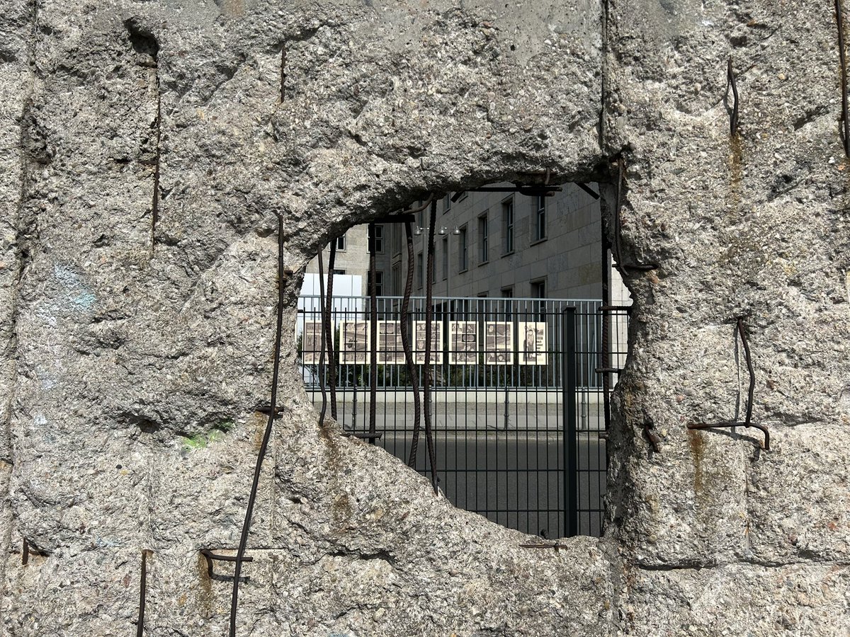 Michael Wood tweet media