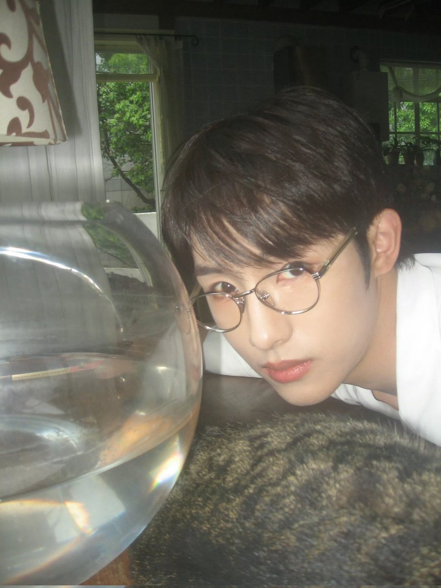 바보 가나디                     의젓 가나디