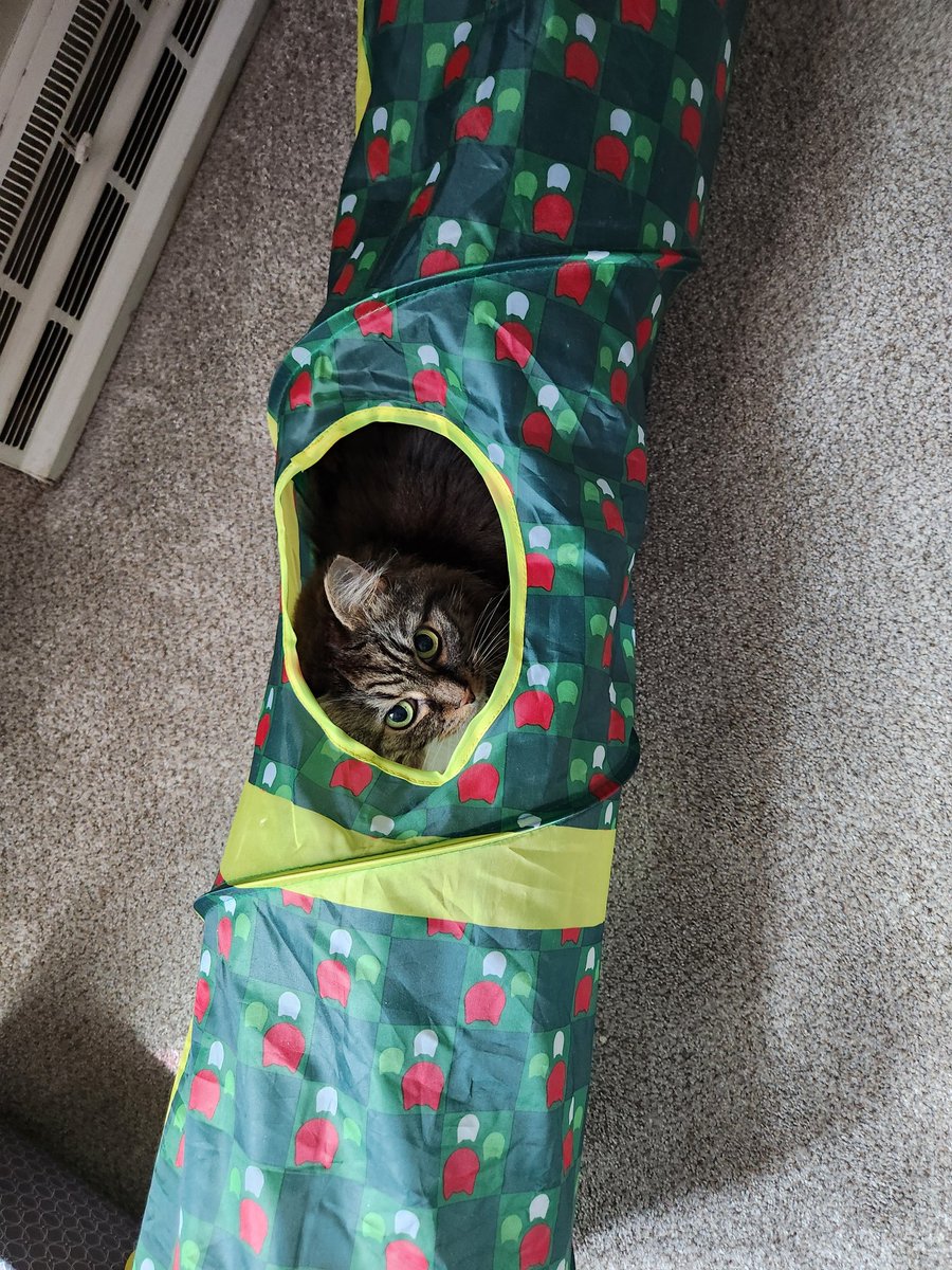 NatOne_AJ tweet media