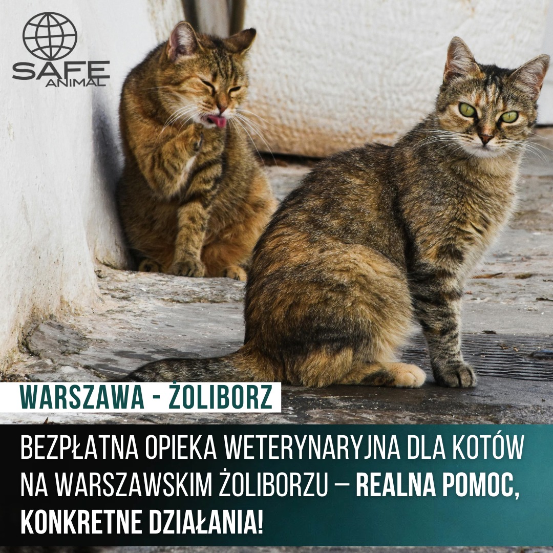 Mieszkańcy #Żoliborz mają możliwość skorzystania z bezpłatnej opieki weterynaryjnej dla swoich zwierząt. W ramach realizacji programu właściciele będą mogli bezpłatnie zarejestrować zwierzę w #SAFEANIMAL 
Szczegóły: zoliborz.um.warszawa.pl/-/artykul-bezp… <a href="/warszawa/">Warszawa</a> <a href="/trzaskowski_/">Rafał Trzaskowski</a> <a href="/RKaznowska/">Renata Kaznowska</a>