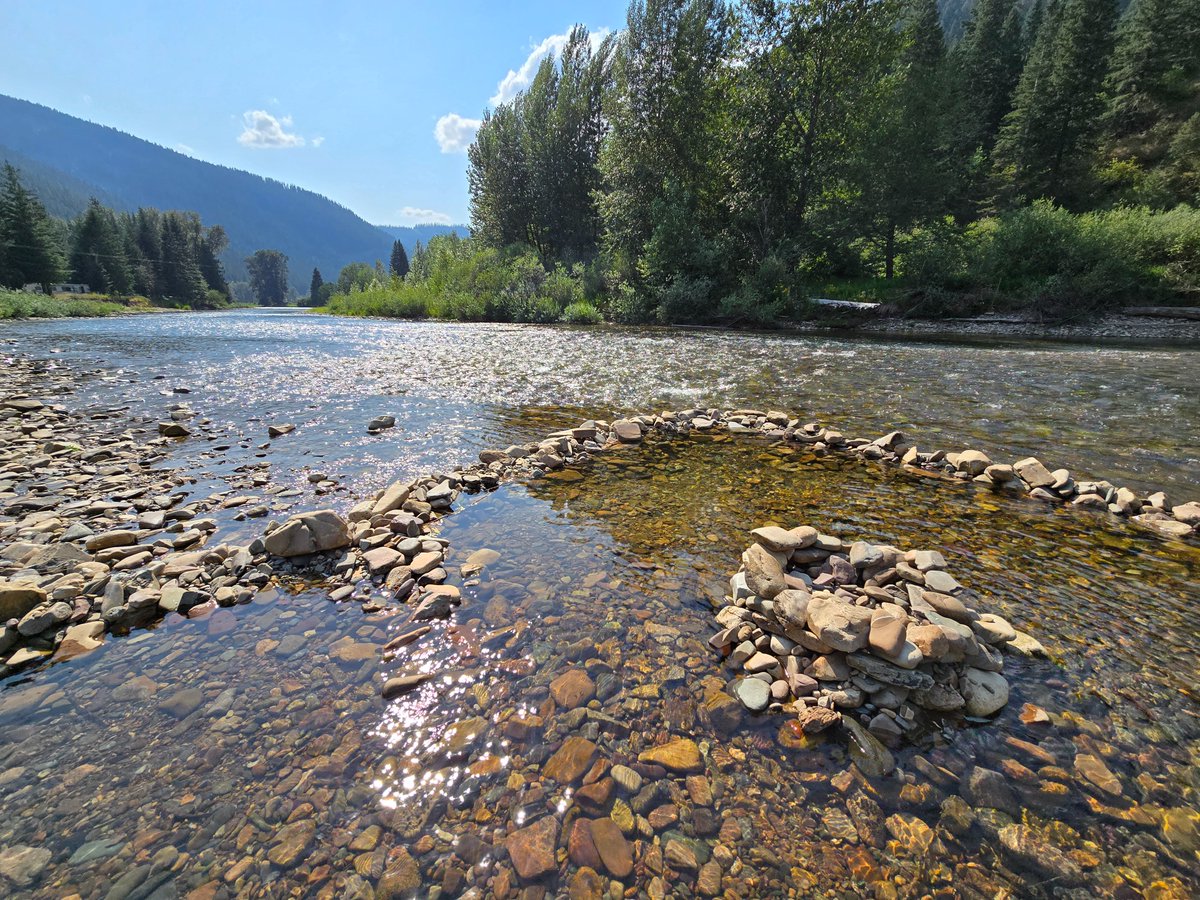 campcastdaily's tweet image. Waterside Wednesday: Nothing beats a serene morning by the river—perfect for casting a line!  Where’s your favorite waterside spot to unwind? Share your pics or stories below!🐟🏕️  #WatersideWednesday #FishingLife #SpringFishing #CampCastDaily #CampingAdventures