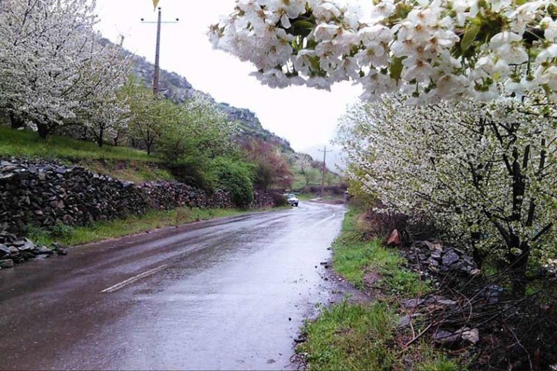 جنگل‌ها، دشت‌ها، کوهستان‌ها و رودخانه‌های طارم جزو جاذبه‌های گردشگری این شهرستان محسوب می‌شوند که با زیبایی‌های چشم نواز خود می‌توانند گزینه مناسب برای سفر باشند.
#زنجان
#طارم