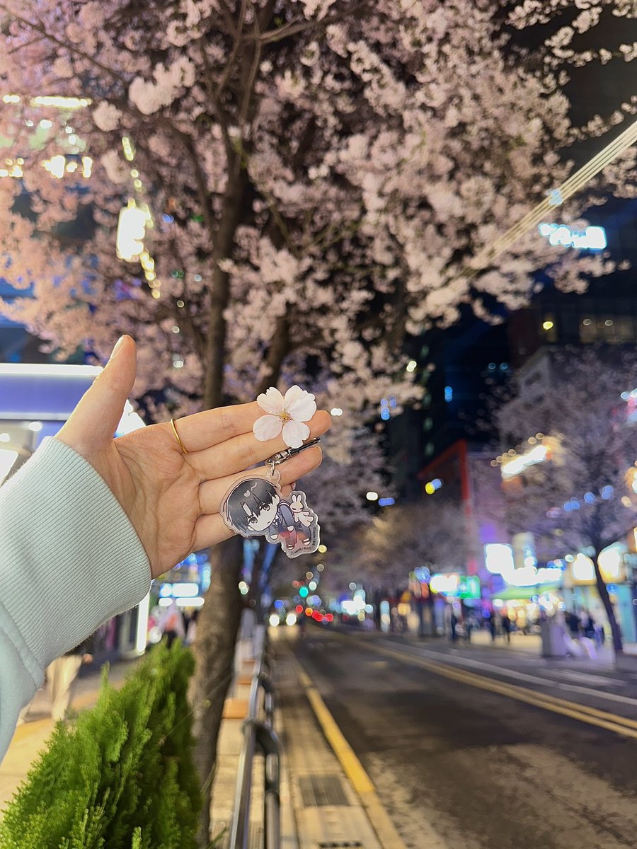 ale830717's tweet photo. #페이백
꽃처럼 예뻐요(˶‾᷄ ⁻̫ ‾᷅˵) https://t.co/mnhAlLTZk4