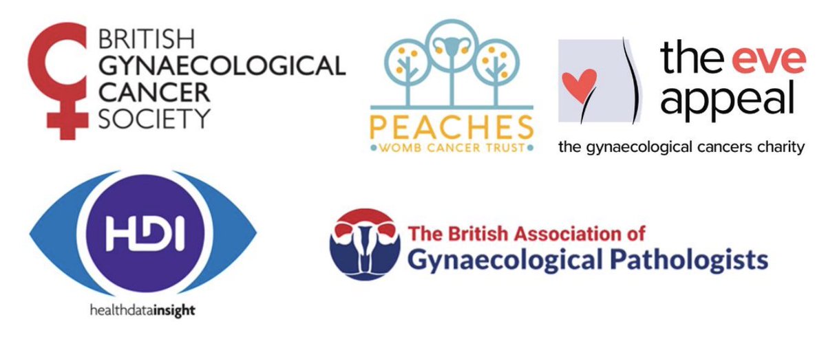 HDI_Cambridge's tweet image. 📢The first Endometrial Cancer Audit Pilot (ECAP) report in collaboration with @eveappeal @peachestrust @BGCS_org @BAGPGynPath has been published, looking at incidence, mortality & survival in women diagnosed with #EndometrialCancer in England (2017-2019)👉tinyurl.com/cabk2krb
