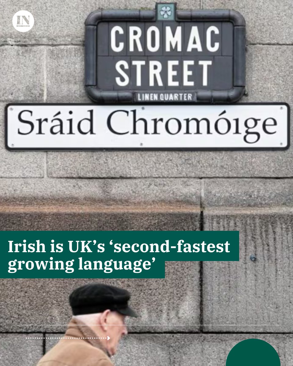 Music, social media and Brexit are thought to be behind the rapid rise of Irish to become the UK’s “second-fastest growing language”.