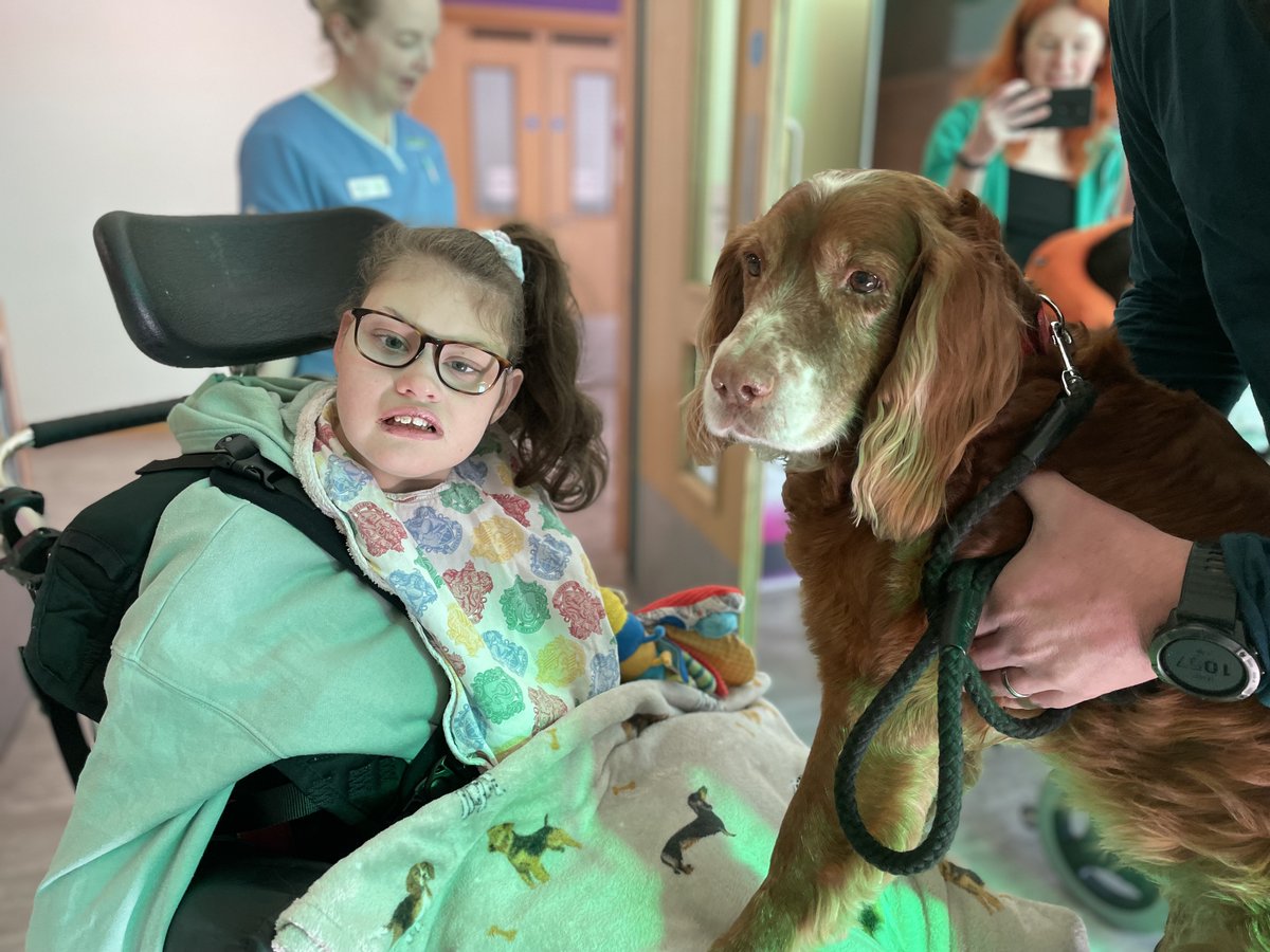 Happy first day of work, Buddy! 🤩

Our latest Pets As Therapy pooch - a super-cute twelve-year-old spaniel - had a paw-fect first visit to Derian House this morning 🐾

The youngsters in the Lodge particularly loved giving Buddy a snuggle and letting him sit on their laps 🐶