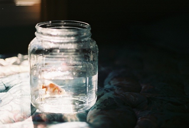 to: <a href="/Stronghold45/">Raditya</a> 
fr: 🍦
✉️: you healed parts of me you didn’t even break. for that, i am endlessly grateful, because you didn’t just save me; you gave me the strength to save myself. thank you for being my light, when i couldn’t find my way out of the dark.