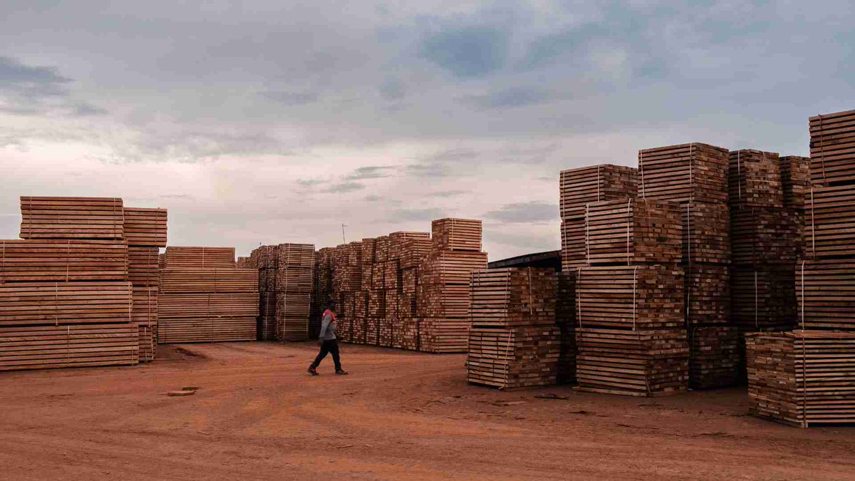 FSC_BassinCongo's tweet photo. FSC Afrique mars 2025 : Le point sur la gestion responsable des forêts - https://t.co/hV8UXDgbcQ https://t.co/D3lcIl8Vpy
