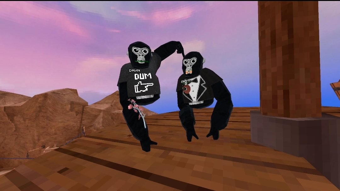 HAHA ur dum #gorillatag
