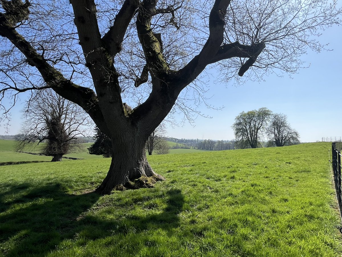 vincekearney's tweet photo. Today's office. Just outside Moy in very sunny Co Armagh with @G_Broadcast More on Friday on @rtenews https://t.co/AUkq9o8l0s