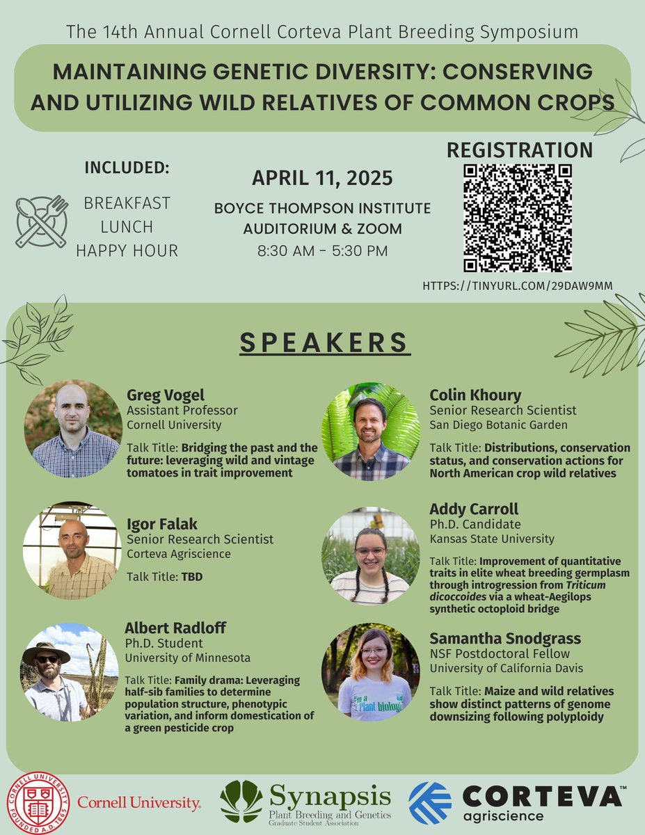 Cornell Synapsis tweet media