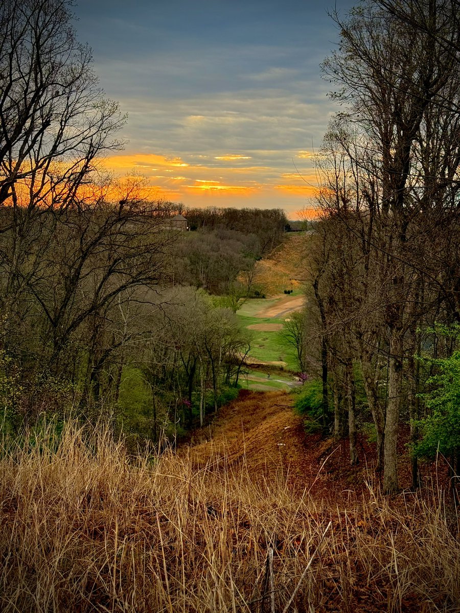 toddmccandless's tweet photo. #DawnPatrol #DogWalk https://t.co/C4mvgUW0SW