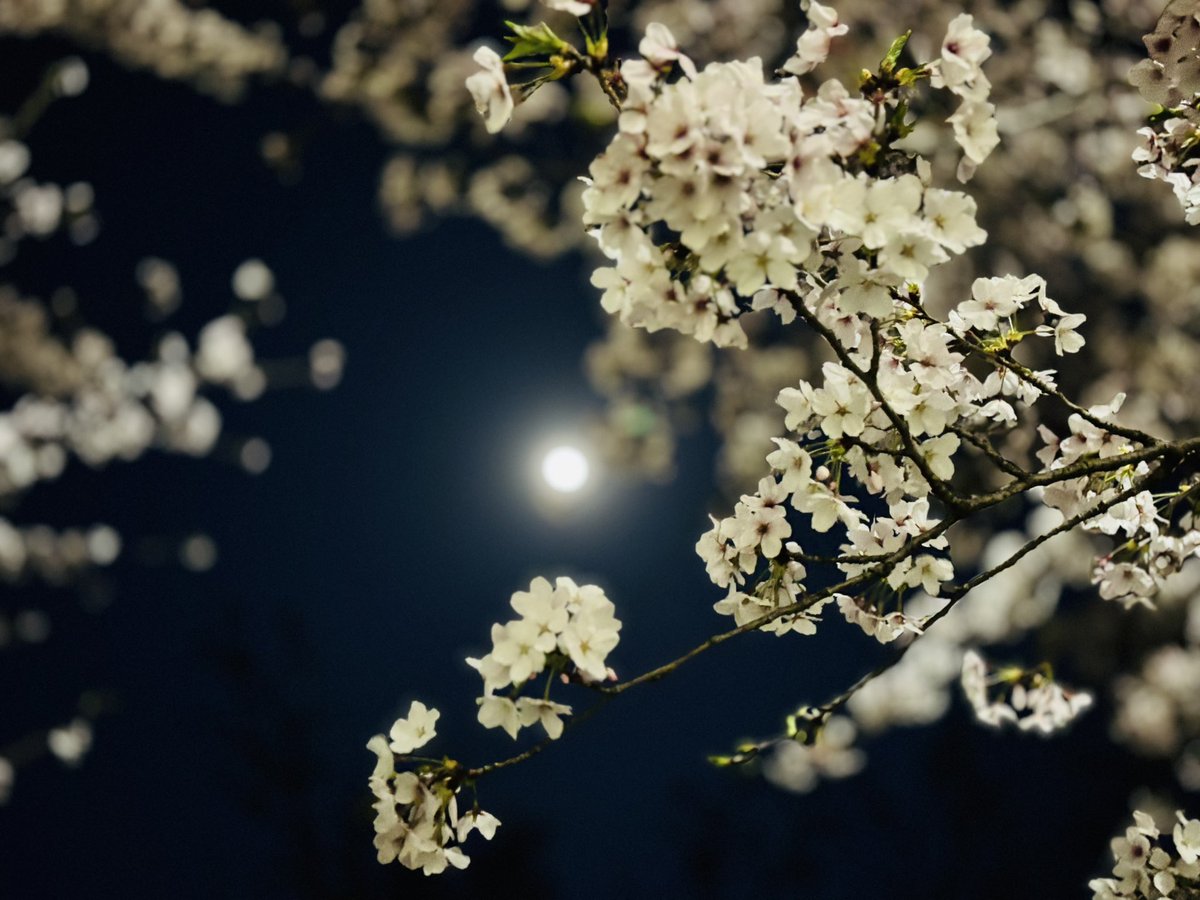 runomaruuu's tweet photo. わあ https://t.co/z9OEN5BBn3